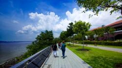 Ponggol Park (D19), Detached #562027771